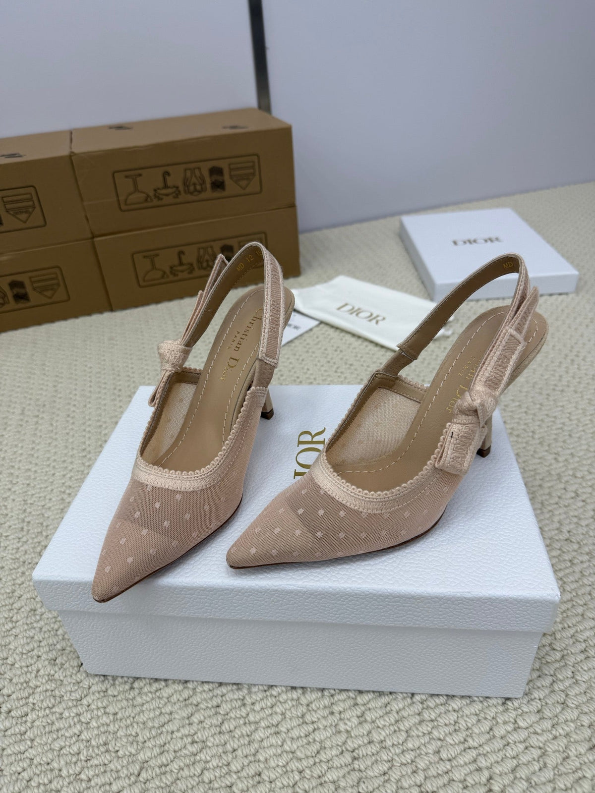 DIOR HIGH SLINGBACK 100 MM 25S IN NUDE LACE NET FABRIC AND SUEDE mysite